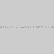 Image of Cell Cycle Progression Protein 1 (CCPG1) Antibody